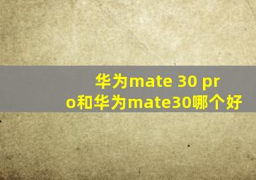 华为mate 30 pro和华为mate30哪个好